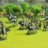 French  Napoleonic wars 1/72 scale Painted by KT