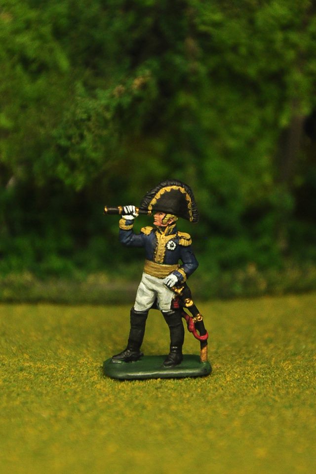 French  Napoleonic wars 1/72 scale Painted by KT