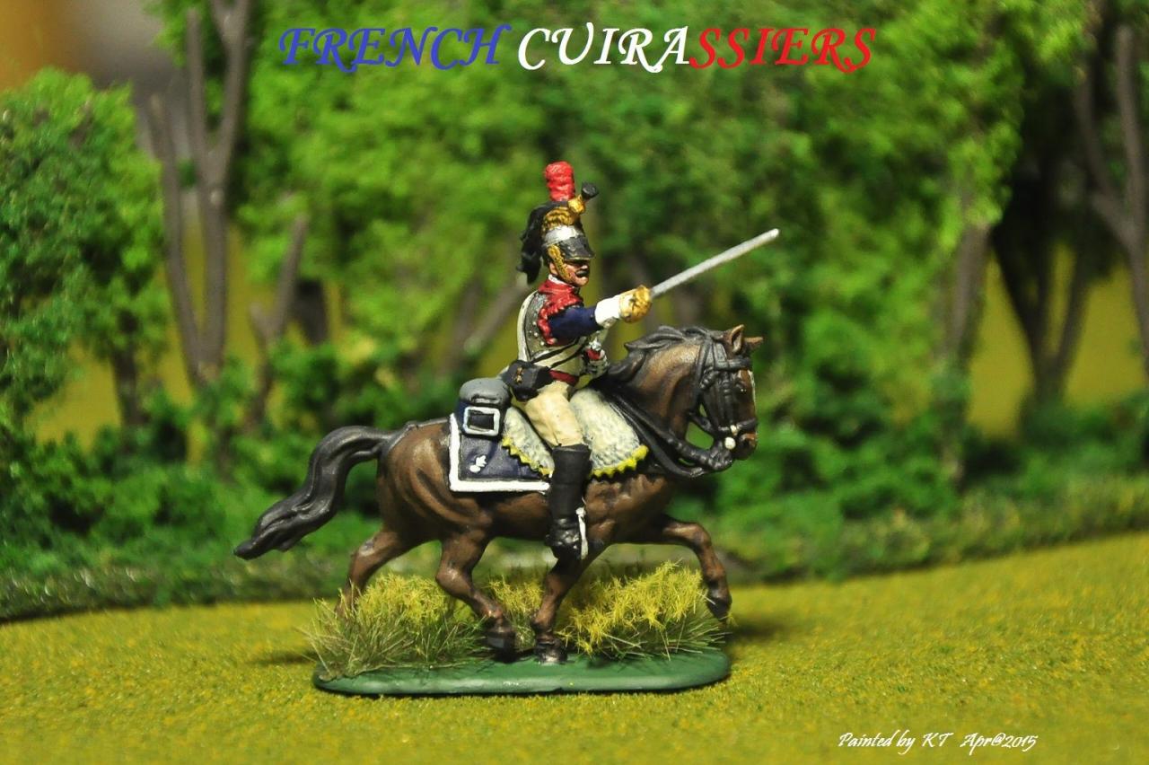 French  Napoleonic wars 1/72 scale Painted by KT