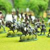 French  Napoleonic wars 1/72 scale Painted by KT